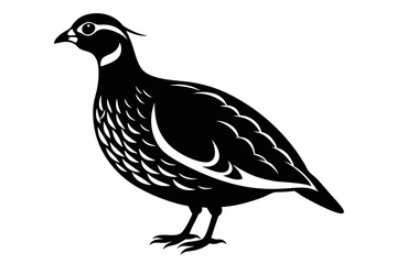 northern bobwhite line art silhouette vector illustration