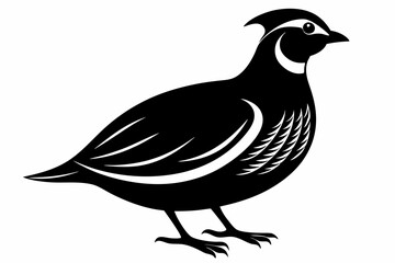 northern bobwhite line art silhouette vector illustration