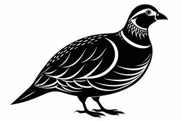 northern bobwhite line art silhouette vector illustration