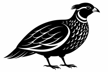 northern bobwhite line art silhouette vector illustration