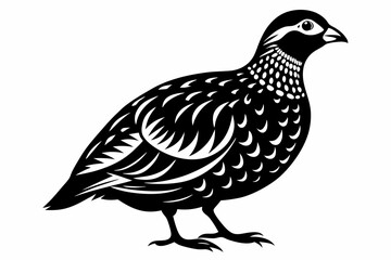 northern bobwhite line art silhouette vector illustration