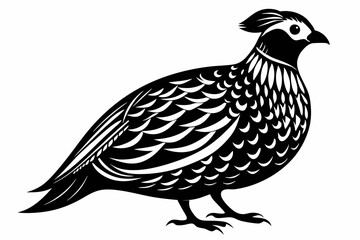 northern bobwhite line art silhouette vector illustration