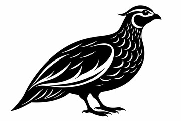 Obraz premium northern bobwhite line art silhouette vector illustration
