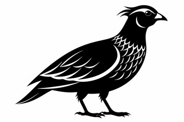 northern bobwhite line art silhouette vector illustration