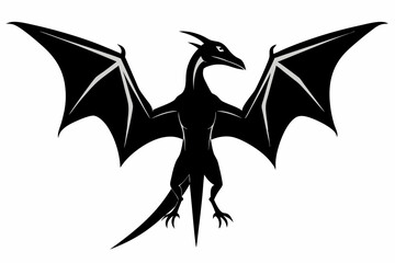 pterodactyl line art silhouette vector illustration © Pinak