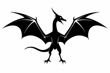 pterodactyl line art silhouette vector illustration © Pinak