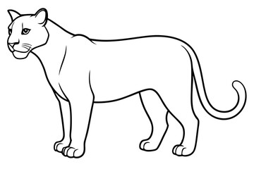 puma line art silhouette vector illustration