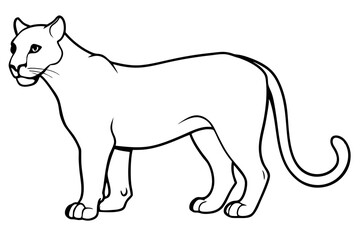 puma line art silhouette vector illustration