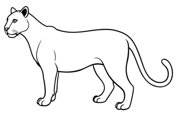 puma line art silhouette vector illustration