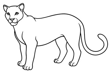 puma line art silhouette vector illustration