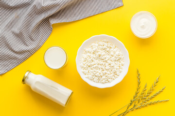 Protein food concept. Various dairy products - milk and cottage cheese with sour cream