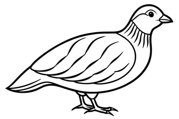 quail line art silhouette vector illustration