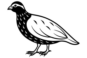 quail line art silhouette vector illustration