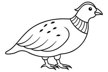 quail line art silhouette vector illustration