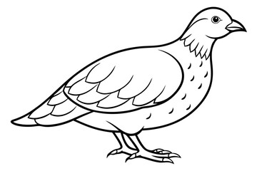 quail line art silhouette vector illustration