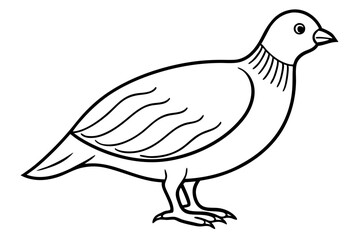 quail line art silhouette vector illustration