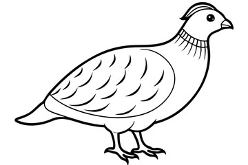 quail line art silhouette vector illustration