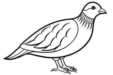 quail line art silhouette vector illustration