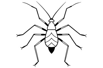 stick bug line art silhouette vector illustration