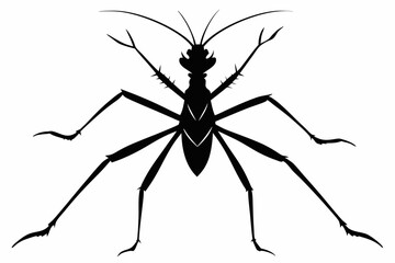 stick bug line art silhouette vector illustration