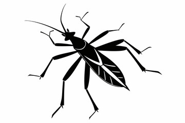 stick bug line art silhouette vector illustration
