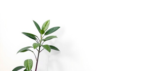 Modern Poster Mockup with Lush Greenery