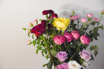 カラフルな薔薇