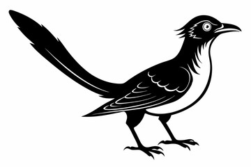 wryneck bird line art silhouette vector illustration