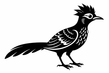wryneck bird line art silhouette vector illustration