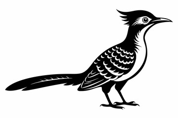 wryneck bird line art silhouette vector illustration