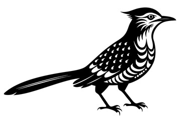 Fototapeta premium wryneck bird line art silhouette vector illustration