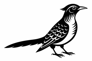 wryneck bird line art silhouette vector illustration