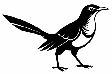 Obraz premium wryneck bird line art silhouette vector illustration