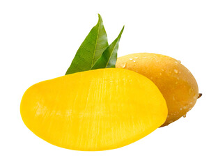 Single ripe yellow mango fruit and half with green leaves and water droplets in stack isolated with clipping path in png file format