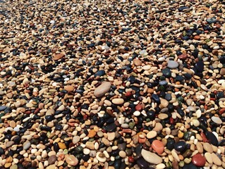 Wet colorful pebbles different shapes and colors natural background stones beach rocks close up natural pebbles texture amazing wallpaper