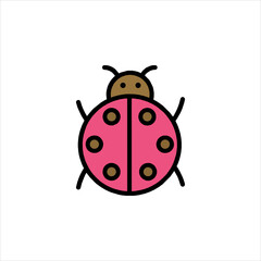 ladybug on white background