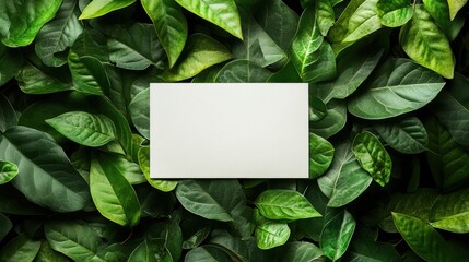 A vibrant tapestry of verdant foliage, a blank canvas for creativity, awaits a message on a crisp white paper card.