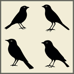 Silhouette of a Bird, Flying Animal