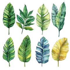 Obraz premium Vibrant watercolor rainforest leaves on white background