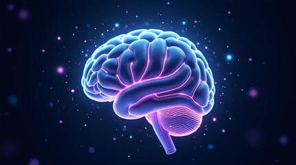 Fototapeta premium human brain model