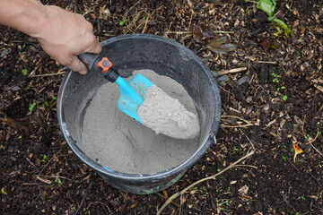 gardener's hand picks up a shovelful of ash from a bucket full of ash in the vegetable garden on...