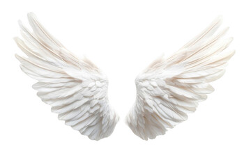 Fototapeta premium White Angel Wings Isolated.