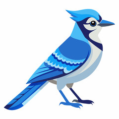 blue bird on a branch