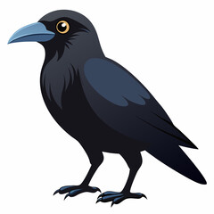 Illustration of a crow and raven on a branch with a white background