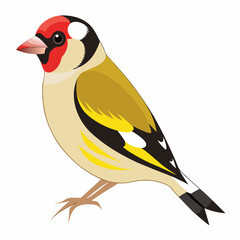 bird on a branch Transparent background