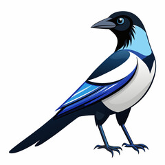 Fototapeta premium crow isolated on Transparent background