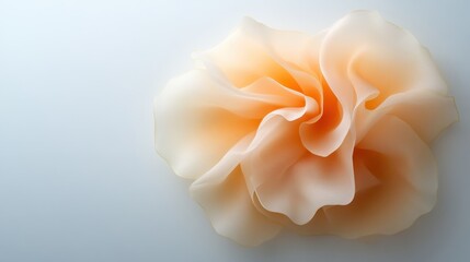 A beautifully crafted delicate peach fabric flower sits gracefully on a soft background, embodying elegance and simplicity in design, perfect for fashion or decor imagery.