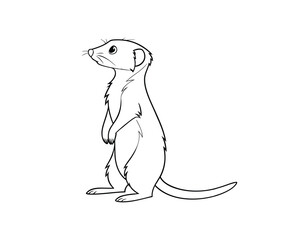 Meerkat portrait, close-up, side view line art and vactor sticker.