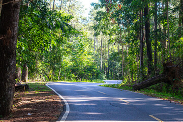 East Nusa Tenggara , Indonesia – 05 . 28. 2024 – The connecting road of Sumba Regency passes...