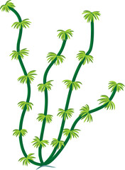 vector illustration of seagrass algae